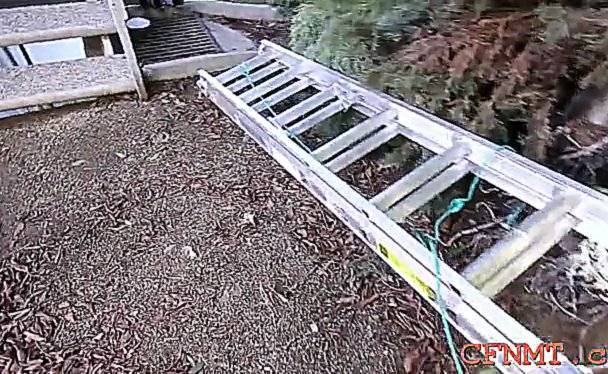 Hottempered darling alexa grace blowing good - gotporn.com