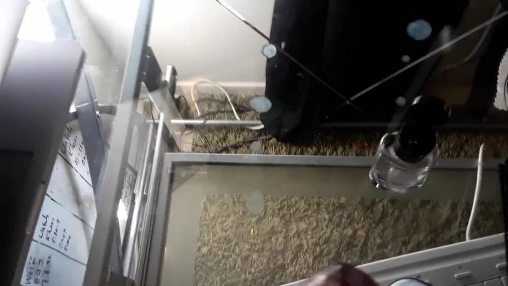 Jerking off to Big Asses - xhamster.com