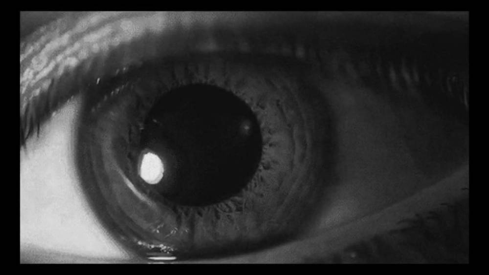 INTRO - xhamster.com