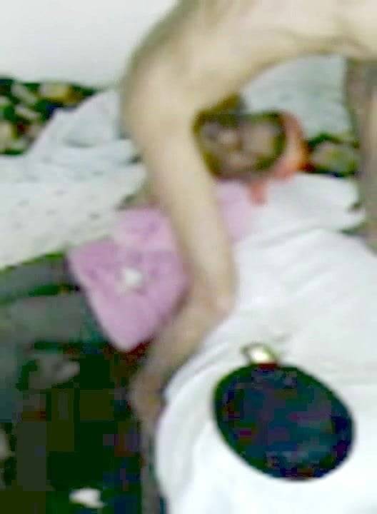 I really like swallowing the hot sperm from you my kissers - xhamster.com - Usa