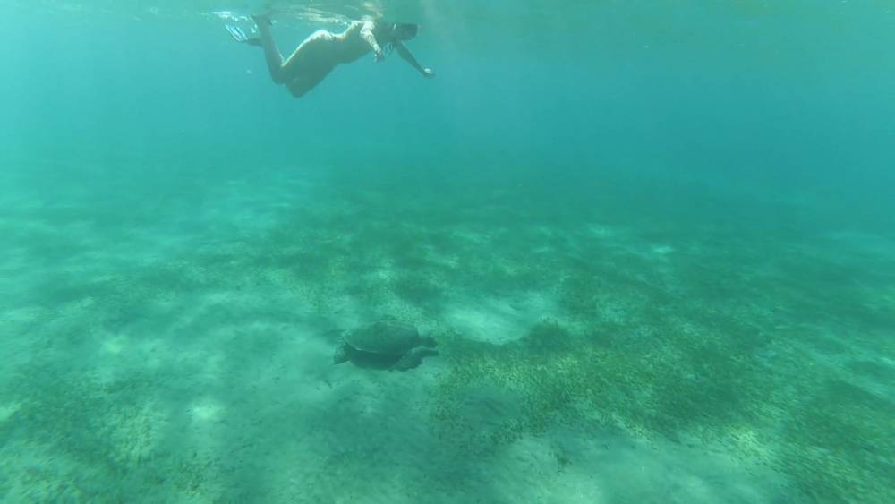 Almacenamiento en la nube. Sirena parte 3 - xhamster.com