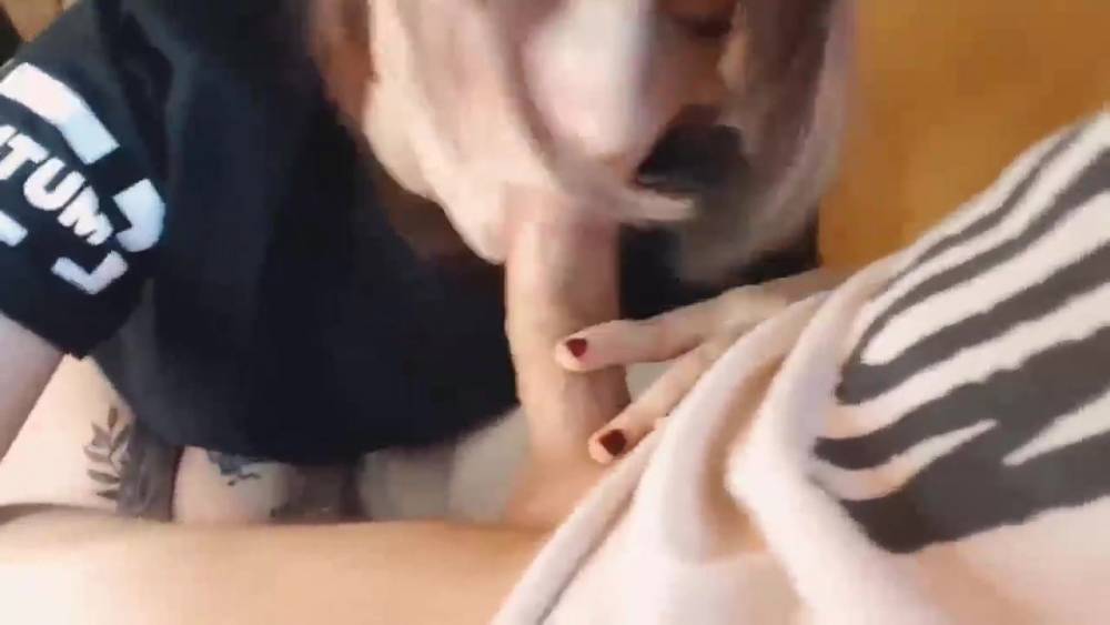 Teen girlfriend sucking - xhamster.com