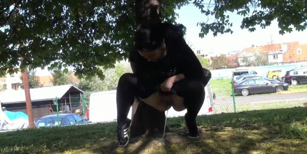 Desperate park pee - xhamster.com