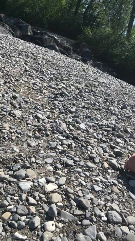 Ass mom - xhamster.com