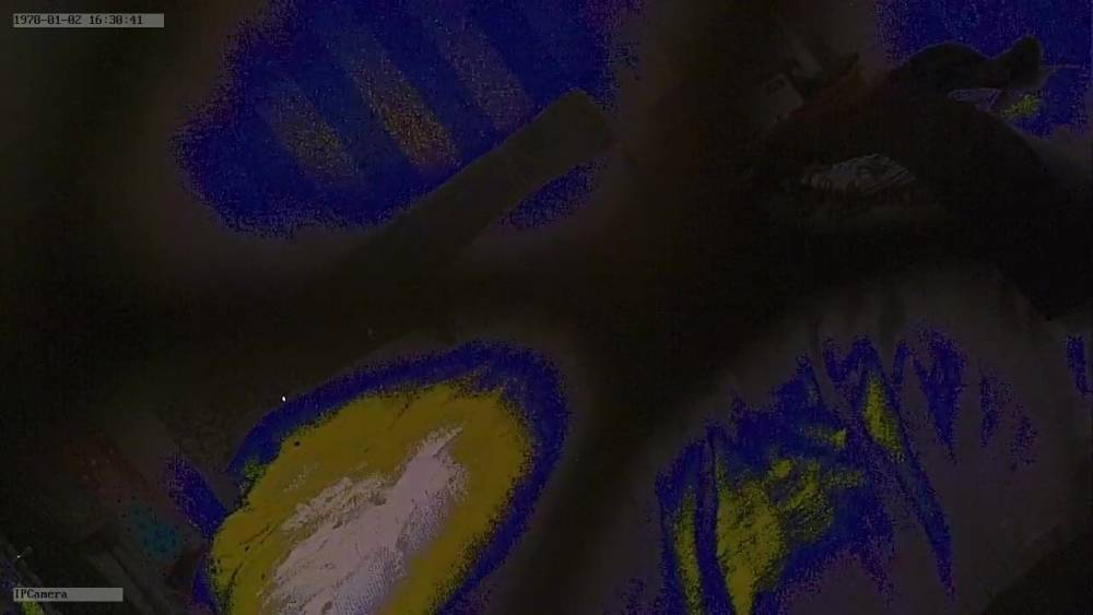 hidden cam house sitter - xh.video - Britain