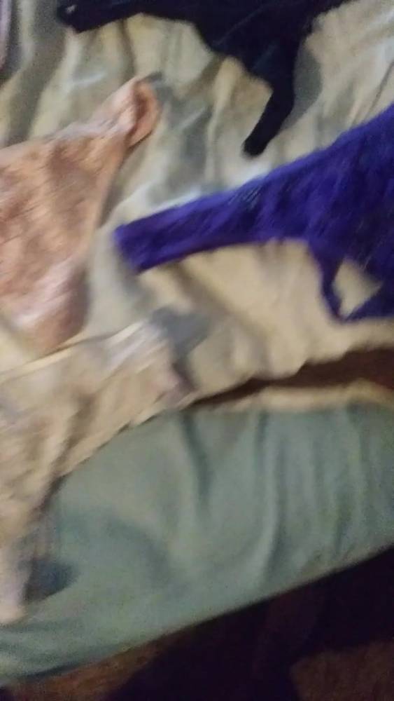Mom's New Panties - xh.video