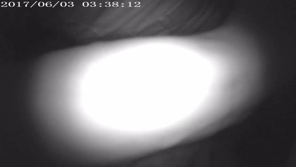 Excoxada Festival 17 - Soft dresses - xh.video