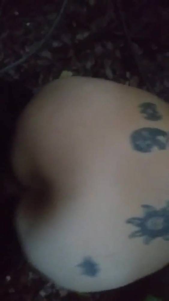 Doggystyle in woods - xh.video