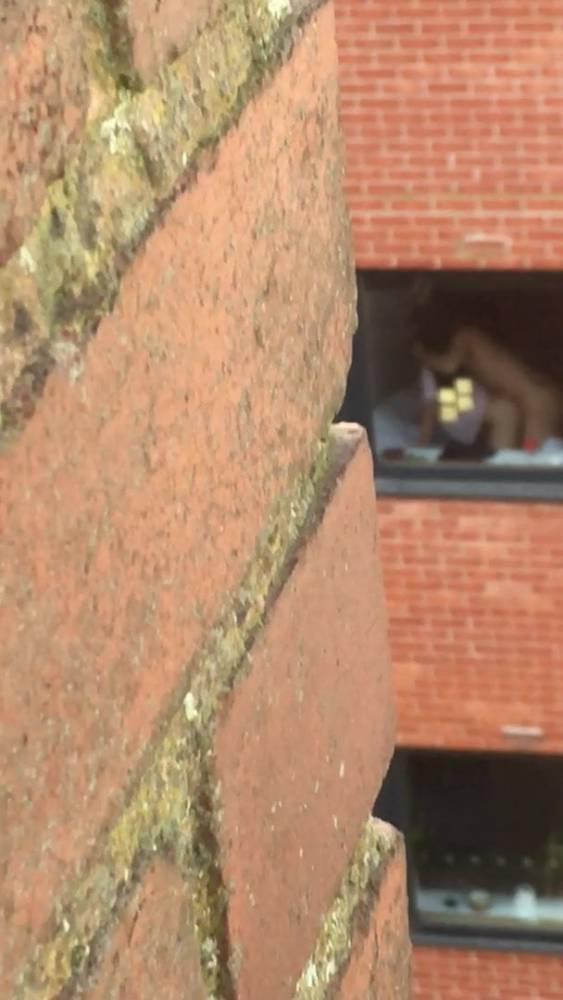 Things you witness being a roofer - xh.video