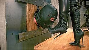 Boot Cleaner - hdzog.com