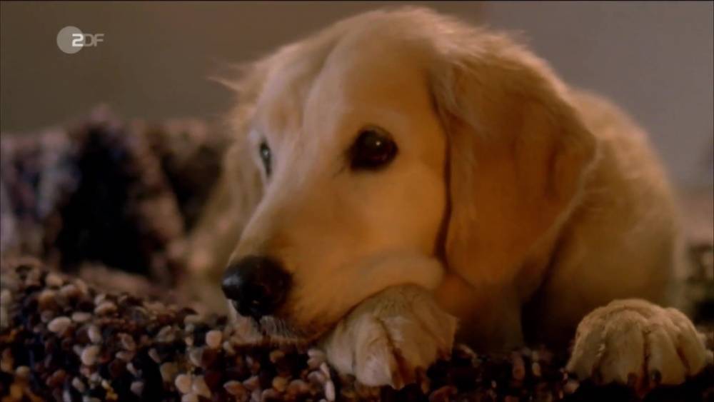 Suzan Anbeh - xh.video