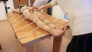 半岛束艺 鹿野人体盛TK - hdzog.com