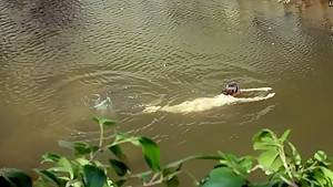 A Tale of Legendary Libido (Garoojigi 2008) Sin-ah Kim - hdzog.com