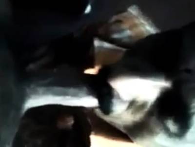 Indian Grandpa sucking - nvdvid.com - India