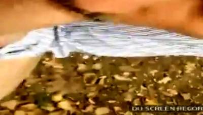 Dodo aux bois - nvdvid.com