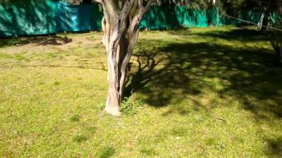 Caminando Desnuda En Un Dia Soleado - hclips.com