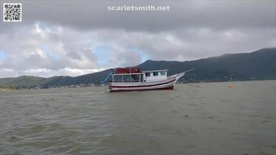 Wife Takes Off Her Clothes On The Sidewalk - hclips.com