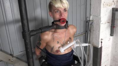 Small Tits Milked Like Cow - upornia.com