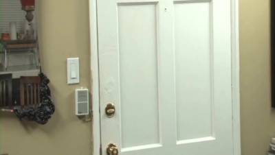 Darcie Dolce - The Lesbian Landlord - porntry.com