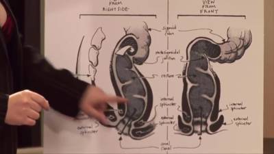 Lorelei Lee - Stephanie Tripp, Lorelei Lee And Ariel X In Educational Anal Sex Games - upornia.com - Usa