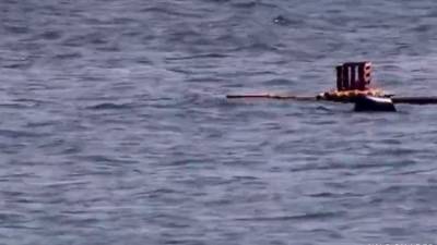 Adam - adam vkt eva - icpvid.com