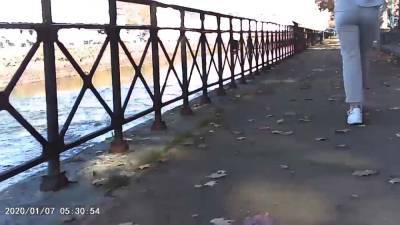 Girls and public sexy - voyeurhit.com