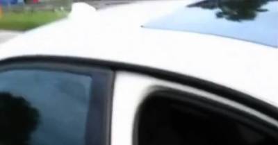 gaterie en bordure d autoroute - icpvid.com - France