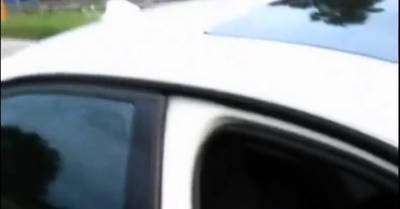 gaterie en bordure d autoroute - nvdvid.com - France