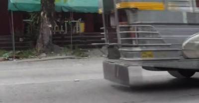 Wicked barely legal eastern Reana blows well - nvdvid.com - Thailand