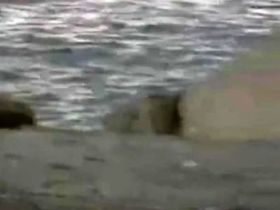 Sex in a cave by the Beach - icpvid.com