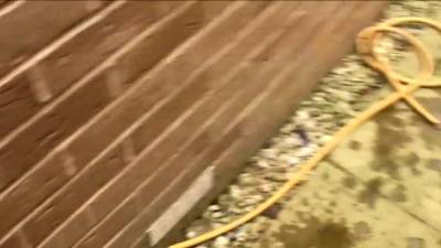 Buxom blonde sucking - nvdvid.com - Britain