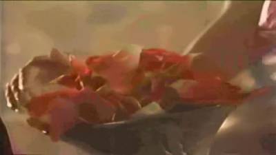 Pleasure Chests - Pb - Voluptuous Vixens Ii - hclips.com