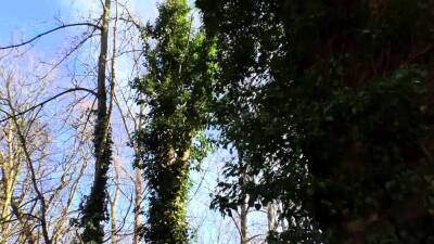 Naughty mature woman gets fucked by two priests - nvdvid.com