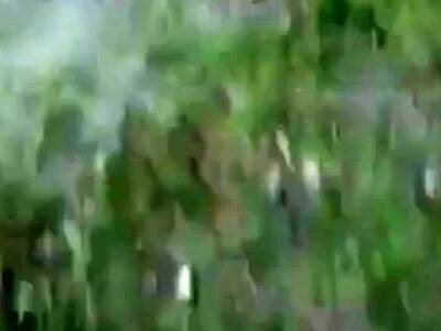 Am See gesehen und genommen - icpvid.com