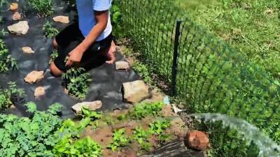 Men.com - Bruno Cartella, Ty Shine - icpvid.com