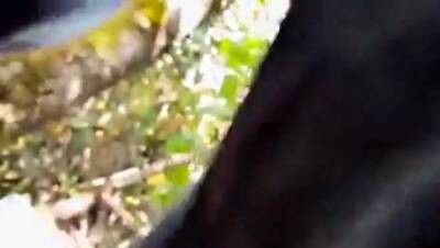 Sucking in the park - icpvid.com