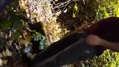 Sucking in the park - icpvid.com