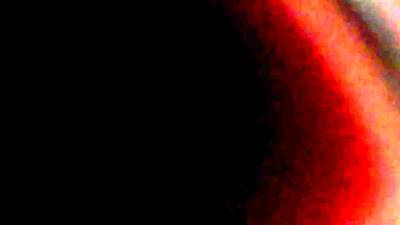 Craigslist Breeding - nvdvid.com