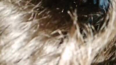 Cute Girl Sucking And Taking My Cock Ends Up Masturbating - upornia.com