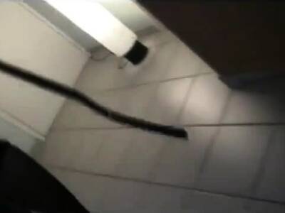 offerte en latex - icpvid.com - France