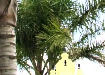 Cock sucking babe fucks - icpvid.com