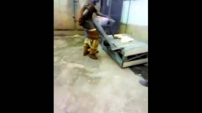 Eros Jamaica - nvdvid.com - Jamaica