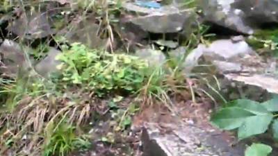 pompino a sistiana trieste - icpvid.com