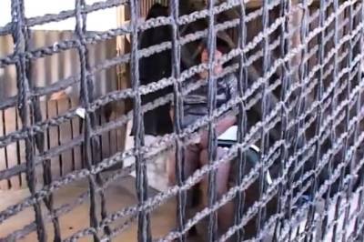 He Wants That Fat Ass - nvdvid.com