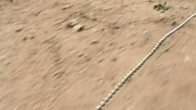 face busty - icpvid.com