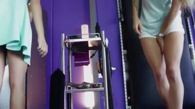 Perfect Bitches - upornia.com - Usa