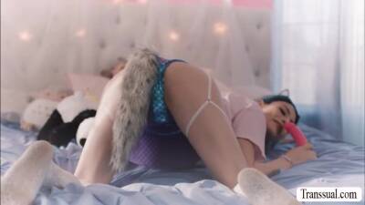 Busty trans woman analed by tipsy boyfriend - fetishpapa.com