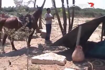 Israeli Sex - Sex In The Horse Farm - Curly Hair - upornia.com