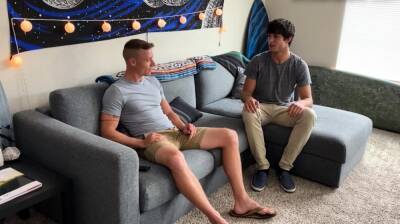 Bareback loving otter stuffed by stud - nvdvid.com