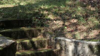 Incredible Xxx Video Solo Hottest , Take A Look - upornia.com